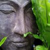 Buddhagesicht mit Grünpflanze